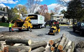 Best Tree Risk Assessment  in Munsons Corners, NY