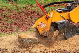 Best Tree and Shrub Care  in Munsons Corners, NY