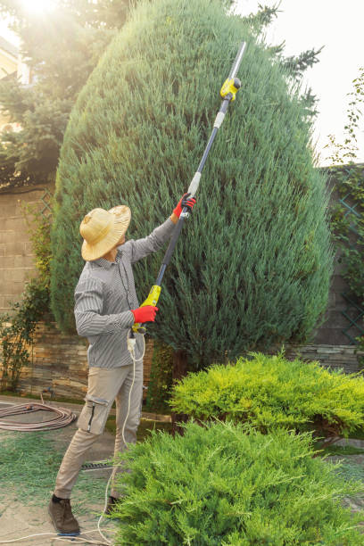 Best Tree Preservation Services  in Munsons Corners, NY